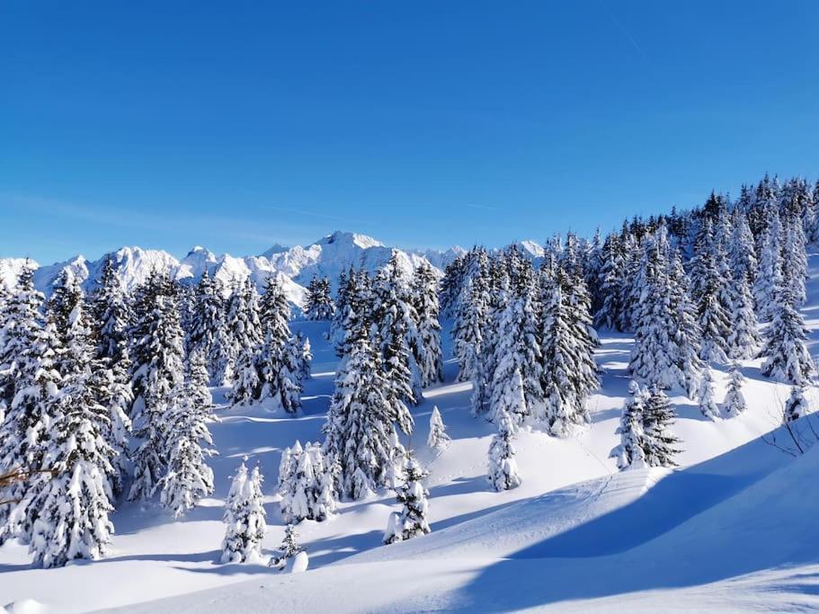 La Tour En Belledonne Theys Exterior foto